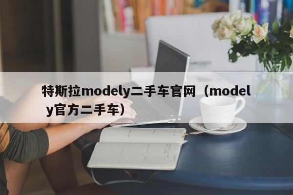 特斯拉modely二手车官网（model y官方二手车）