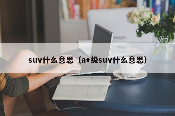 suv什么意思（a+级suv什么意思）