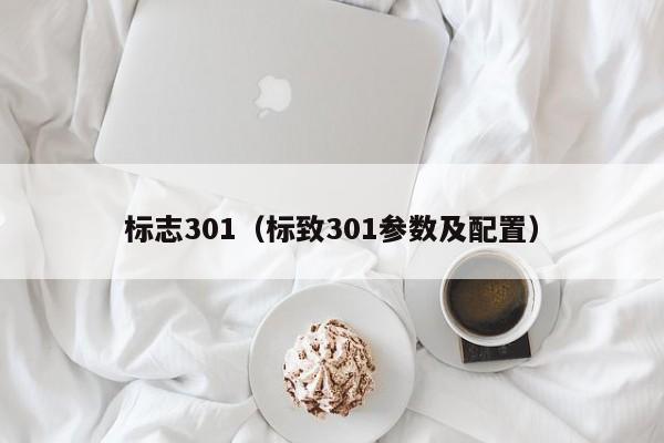 标志301（标致301参数及配置）