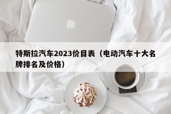 特斯拉汽车2023价目表（电动汽车十大名牌排名及价格）