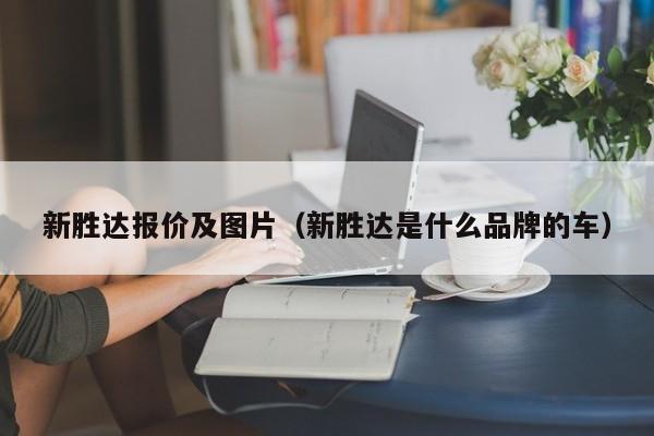 新胜达报价及图片（新胜达是什么品牌的车）