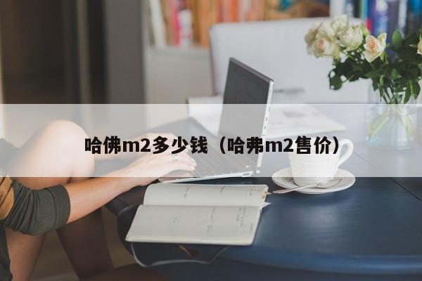 哈佛m2多少钱（哈弗m2售价）