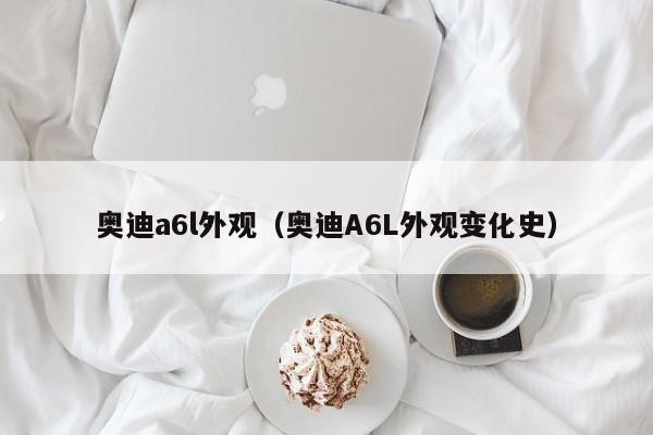 奥迪a6l外观（奥迪A6L外观变化史）