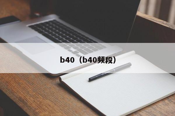 b40（b40频段）