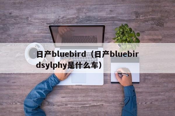 日产bluebird（日产bluebirdsylphy是什么车）