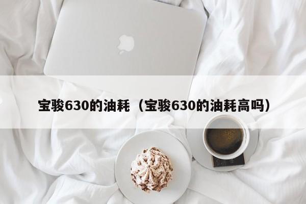 宝骏630的油耗（宝骏630的油耗高吗）