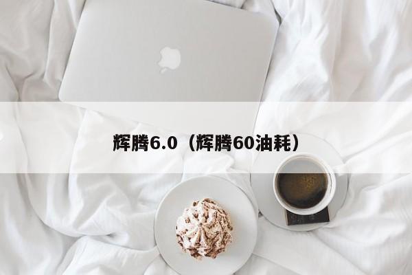 辉腾6.0（辉腾60油耗）