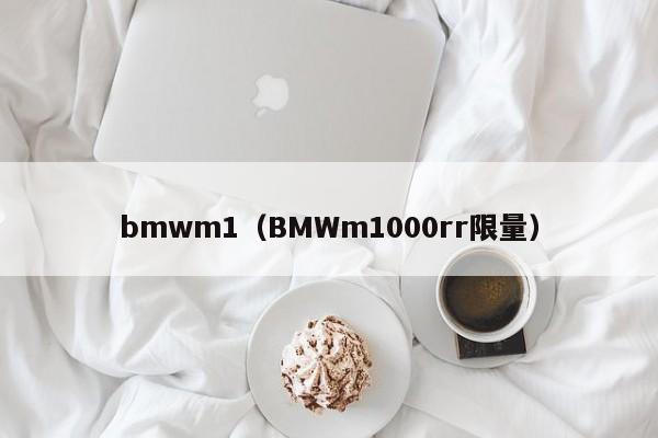 bmwm1（BMWm1000rr限量）