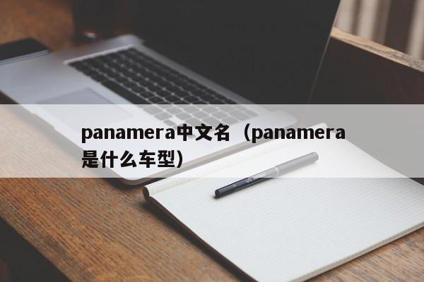 panamera中文名（panamera是什么车型）