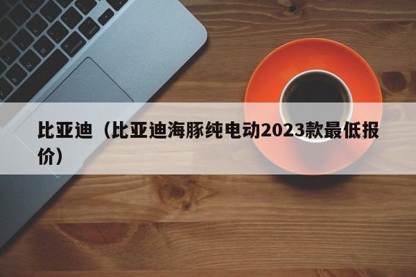 比亚迪（比亚迪海豚纯电动2023款最低报价）