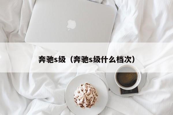 奔驰s级（奔驰s级什么档次）