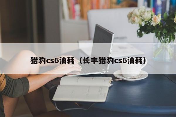 猎豹cs6油耗（长丰猎豹cs6油耗）