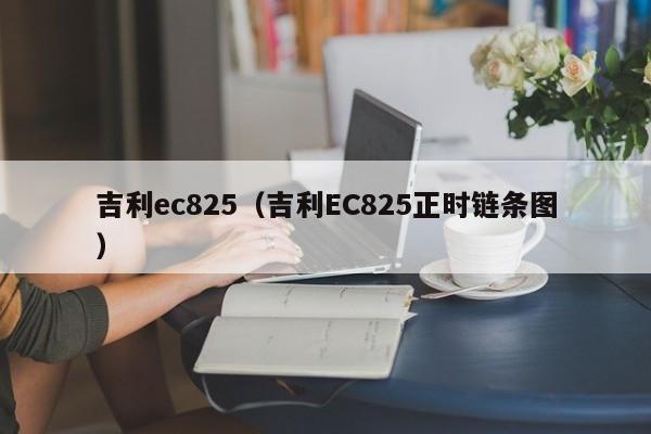 吉利ec825（吉利EC825正时链条图）