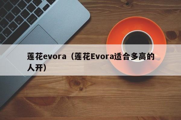 莲花evora（莲花Evora适合多高的人开）