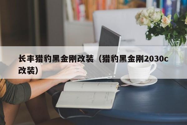 长丰猎豹黑金刚改装（猎豹黑金刚2030c改装）