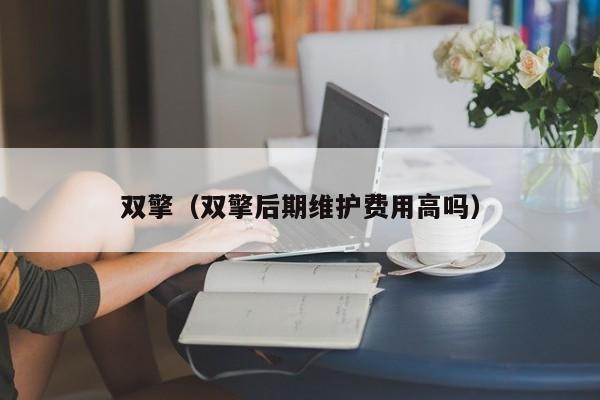 双擎（双擎后期维护费用高吗）