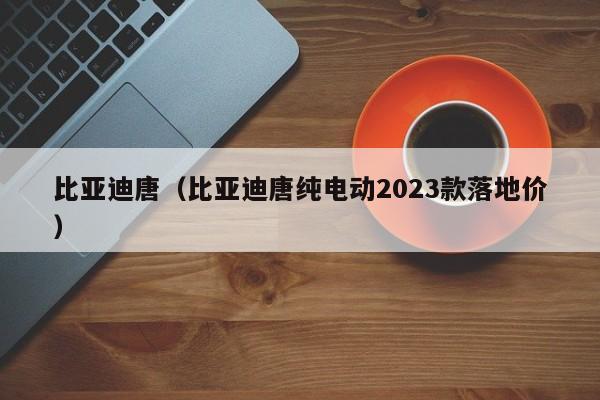 比亚迪唐（比亚迪唐纯电动2023款落地价）