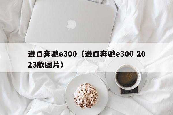 进口奔驰e300（进口奔驰e300 2023款图片）