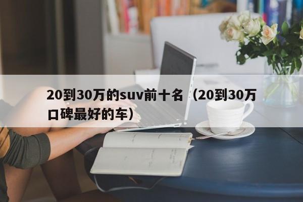 20到30万的suv前十名（20到30万口碑最好的车）