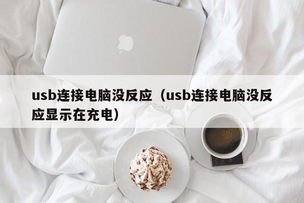 usb连接电脑没反应（usb连接电脑没反应显示在充电）