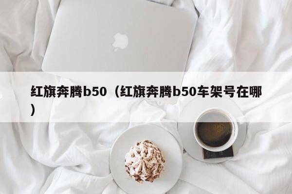 红旗奔腾b50（红旗奔腾b50车架号在哪）