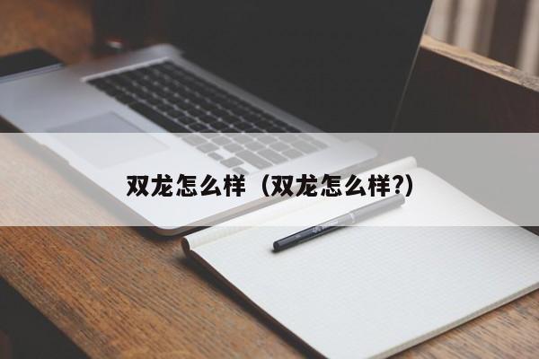 双龙怎么样（双龙怎么样?）