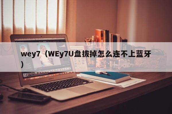 wey7（WEy7U盘拔掉怎么连不上蓝牙）