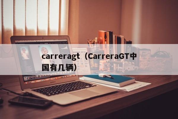 carreragt（CarreraGT中国有几辆）