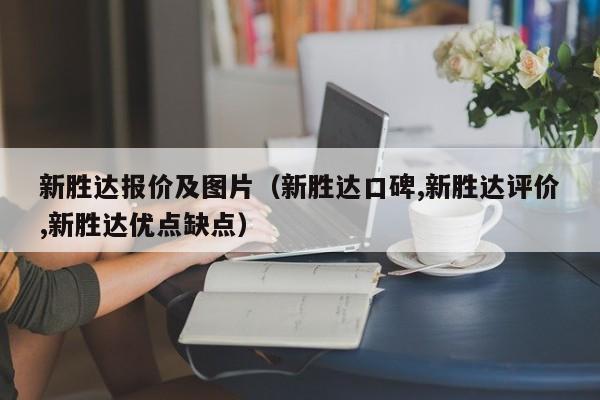 新胜达报价及图片（新胜达口碑,新胜达评价,新胜达优点缺点）