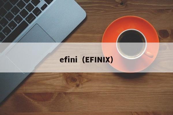 efini（EFINIX）