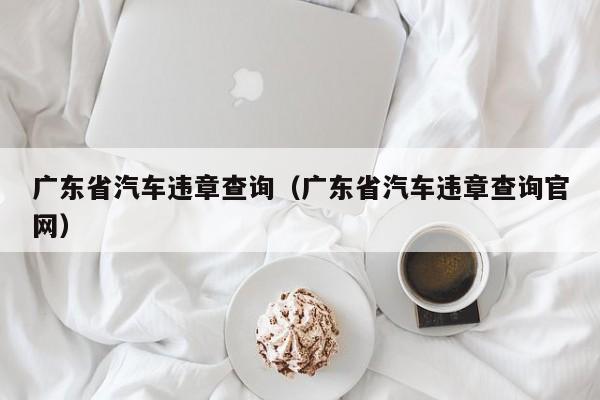 广东省汽车违章查询（广东省汽车违章查询官网）