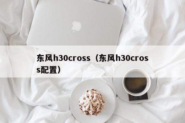 东风h30cross（东风h30cross配置）