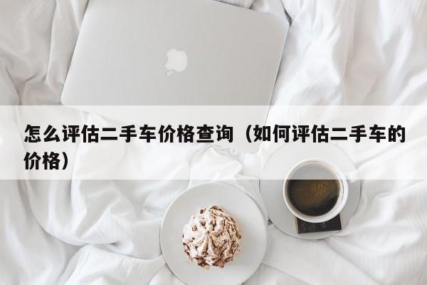 怎么评估二手车价格查询（如何评估二手车的价格）