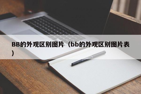 BB的外观区别图片（bb的外观区别图片表）