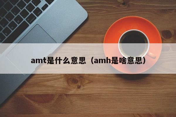 amt是什么意思（amh是啥意思）