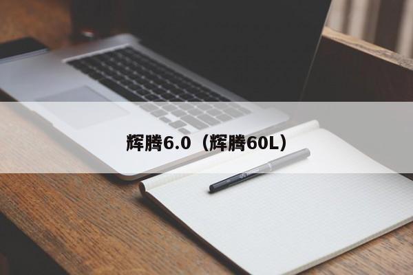 辉腾6.0（辉腾60L）