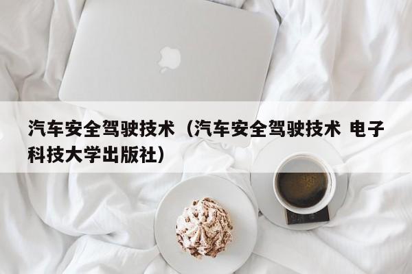 汽车安全驾驶技术（汽车安全驾驶技术 电子科技大学出版社）