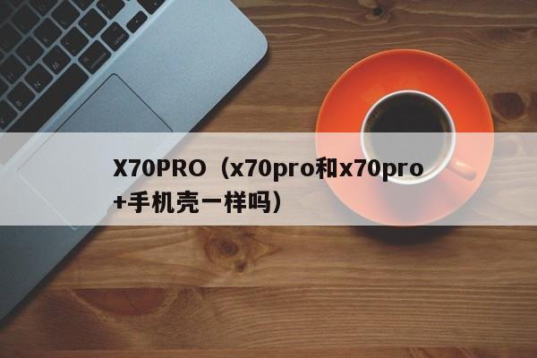 X70PRO（x70pro和x70pro+手机壳一样吗）