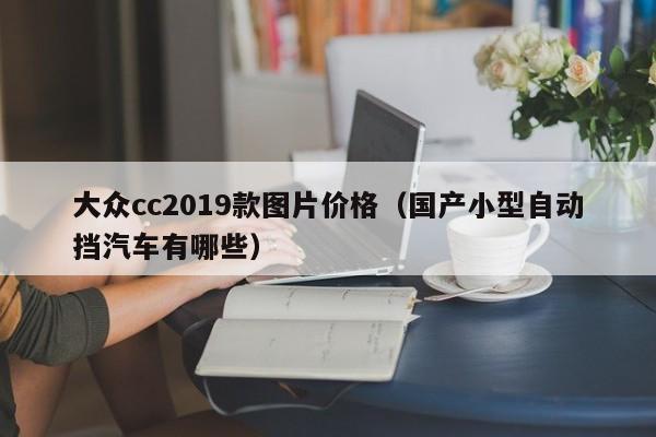 大众cc2019款图片价格（国产小型自动挡汽车有哪些）