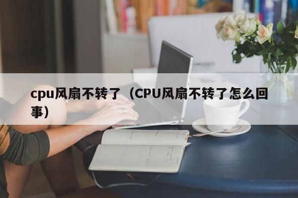 cpu风扇不转了（CPU风扇不转了怎么回事）