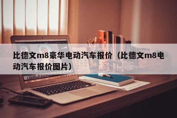 比德文m8豪华电动汽车报价（比德文m8电动汽车报价图片）