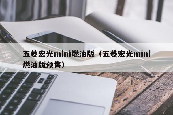 五菱宏光mini燃油版（五菱宏光mini燃油版预售）