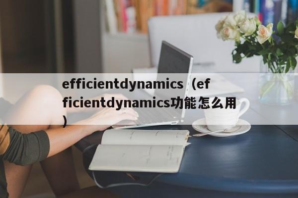 efficientdynamics（efficientdynamics功能怎么用）