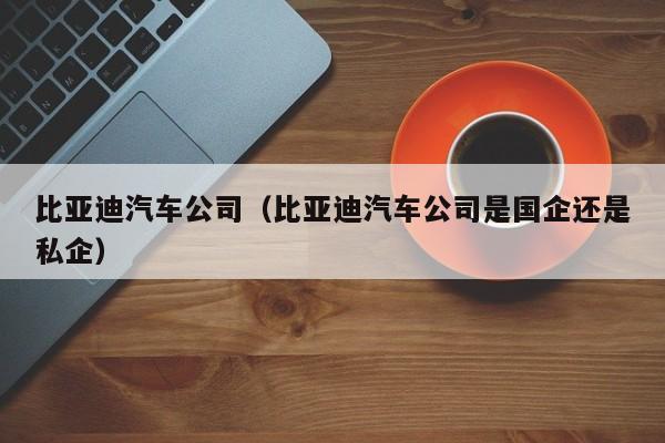 比亚迪汽车公司（比亚迪汽车公司是国企还是私企）