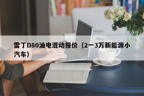 雷丁D80油电混动报价（2一3万新能源小汽车）