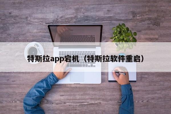 特斯拉app宕机（特斯拉软件重启）