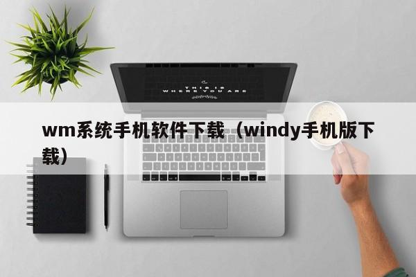 wm系统手机软件下载（windy手机版下载）