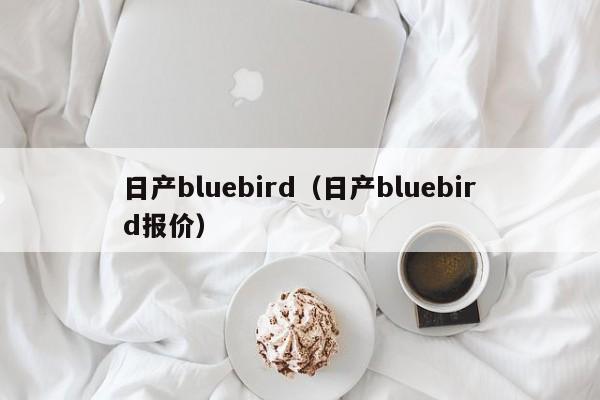 日产bluebird（日产bluebird报价）