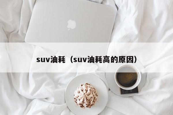 suv油耗（suv油耗高的原因）