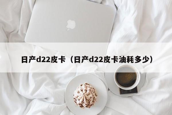 日产d22皮卡（日产d22皮卡油耗多少）